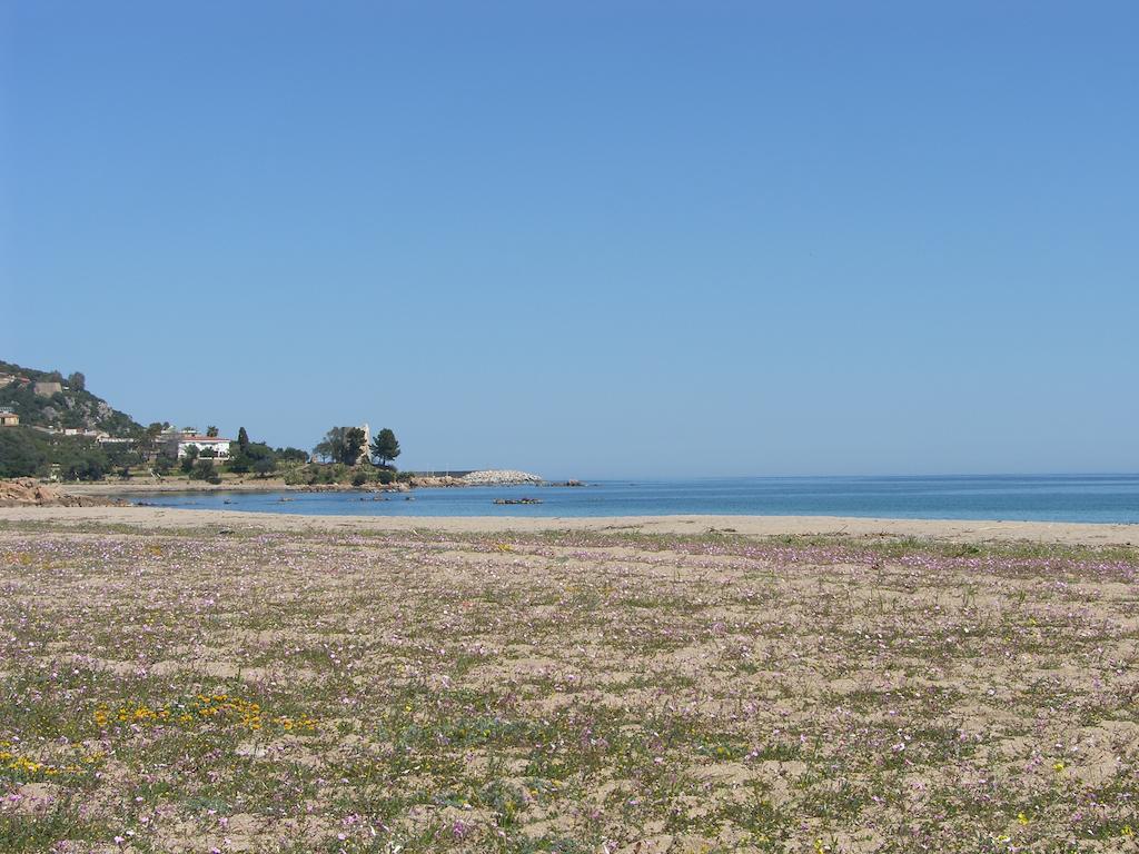 L'Oasi B&B Santa Maria Navarrese Esterno foto